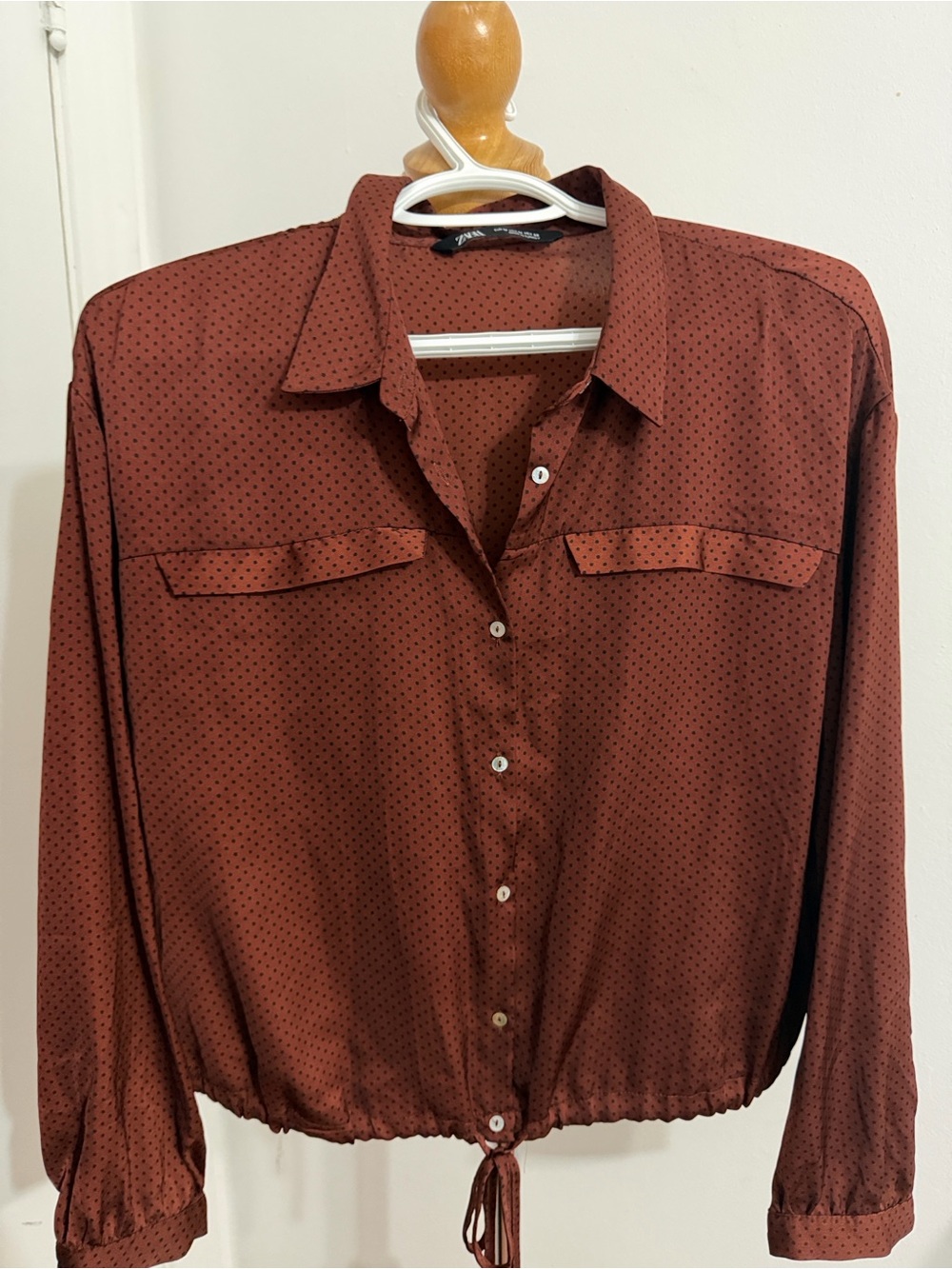 Zara Rust Brown Polka Dot Collared Shirt